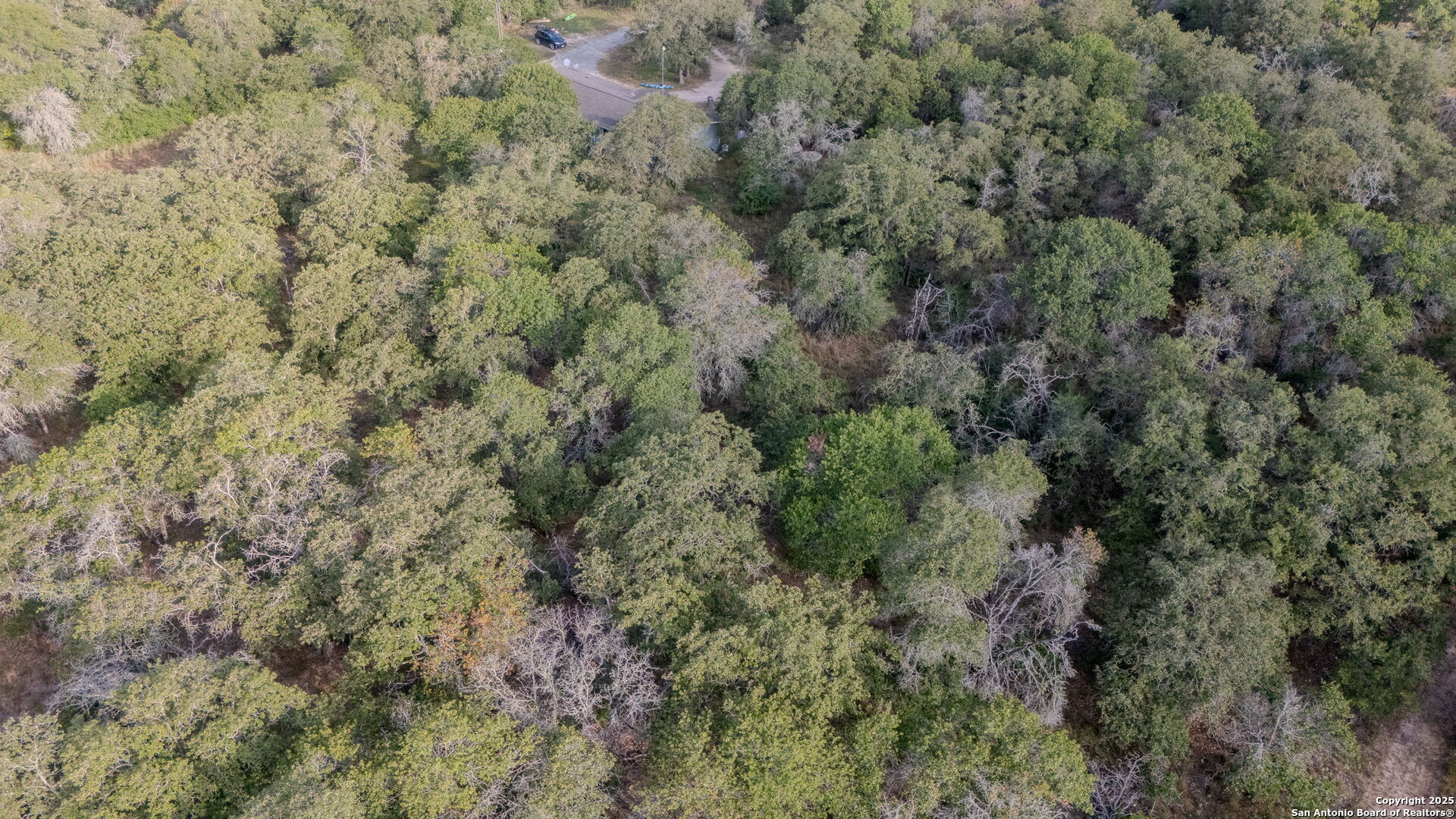 Land in Seguin 5