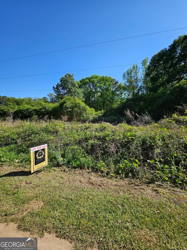 0 Dixie Hwy, Home with 0 bedrooms, 0 bathrooms and null parking in Rutledge GA | Image 6