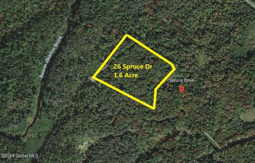 26 Spruce Dr, Indian Lake, NY, 12842 | Card Image