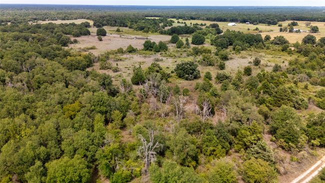 Drone / aerial view | Image 25