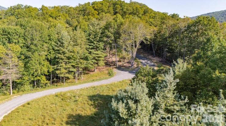 Land in Spruce Pine 4