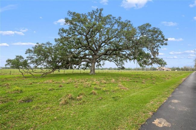 9474 Fm 524 Rd, Home with 5 bedrooms, 5 bathrooms and 3 parking in Sweeny TX | Image 6