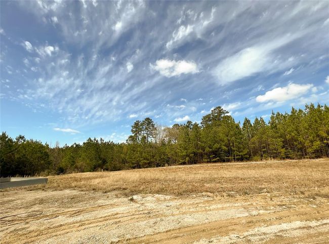 7 Fm 1746, Home with 0 bedrooms, 0 bathrooms and null parking in Spurger TX | Image 8