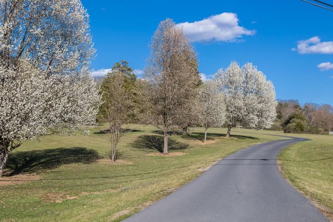 5983 Labs Run Ln, House other with 4 bedrooms, 4 bathrooms and null parking in PENN LAIRD VA | Image 59
