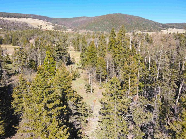 2 Acres Off Quail Ridge, Home with 0 bedrooms, 0 bathrooms and null parking in Angel Fire NM | Image 5