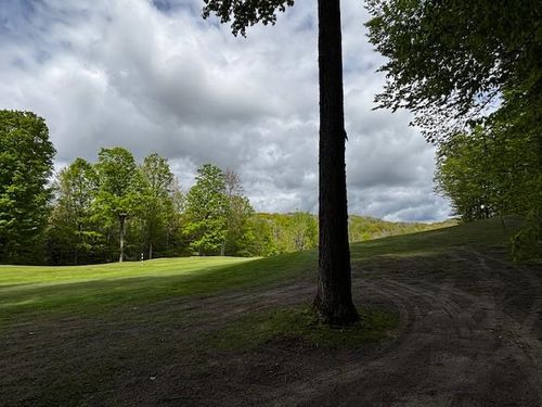 Unit 24 Forest Trail, Custer Township, MI, 49615 | Card Image