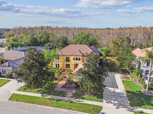 3811 Ivydale Ct, LAND O LAKES, FL, 34638-8078 | Card Image