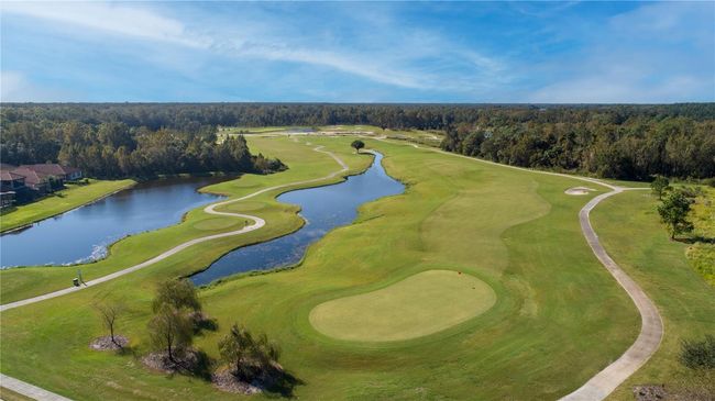 Michael Dasher-design Championship Golf | Image 45