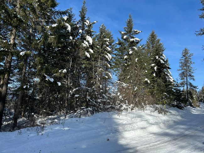5 Red Fir Ln, Home with 0 bedrooms, 0 bathrooms and null parking in Noxon MT | Image 28