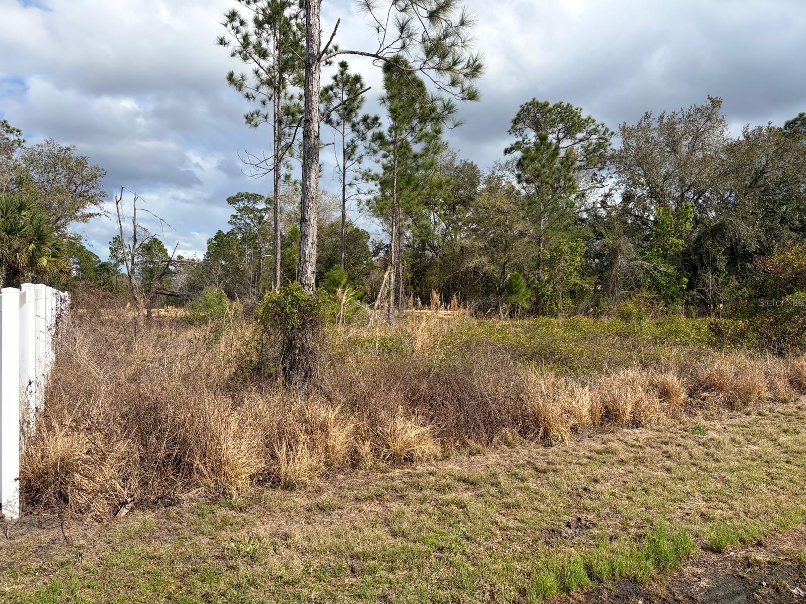Land in POINCIANA 2