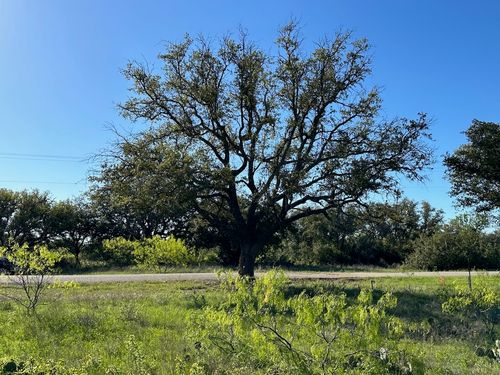 461 Feather Bay Blvd, Brownwood, TX, 76801 | Card Image