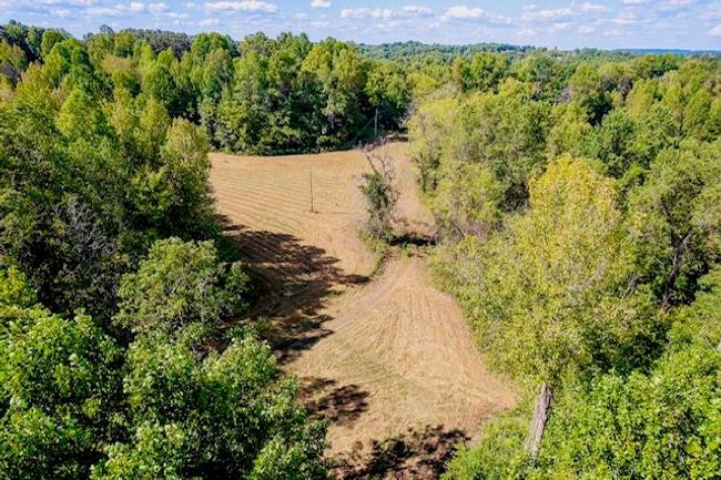 00 Bolestown Loop, Home with 0 bedrooms, 0 bathrooms and null parking in Alpine TN | Image 16