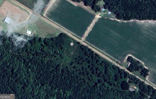 0 Mincey Rd, Brooklet, GA, 30415 | Card Image