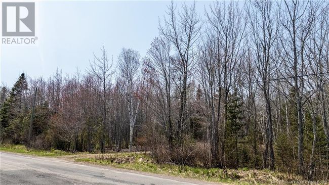 1387 Bells Mills Rd, Home with 0 bedrooms, 0 bathrooms and null parking in Richibouctou-Village NB | Image 11