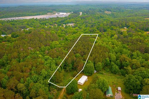 1-0 Spunky Hollow Road, Trafford, AL, 35172 | Card Image