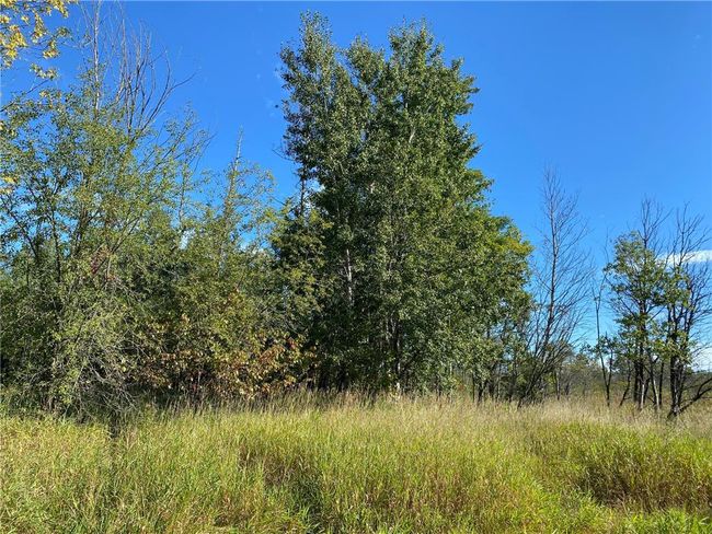 3 acres 7th Street, Home with 0 bedrooms, 0 bathrooms and null parking in Weyerhaeuser WI | Image 5