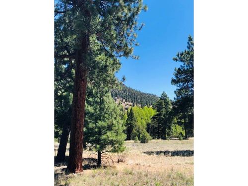 133 Canyon View Dr, Antonito, CO, 81120-9042 | Card Image