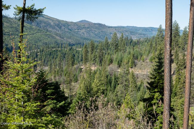 262 North Side Road, Home with 0 bedrooms, 0 bathrooms and null parking in Calder ID | Image 55