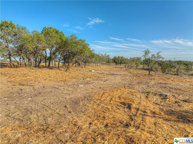 0 Zinnia/Star Grass, Home with 0 bedrooms, 0 bathrooms and null parking in Spring Branch TX | Image 25