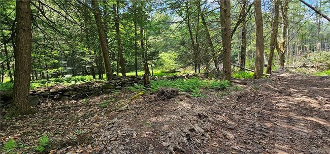 Lot 81.4 County Road 114, Home with 0 bedrooms, 0 bathrooms and null parking in Cochecton NY | Image 8