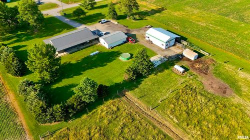 232 Palm Ln, Flora, IL, 62839-3018 | Card Image