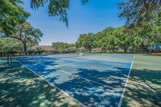 Community Tennis and/or Pickleball Court | Image 79
