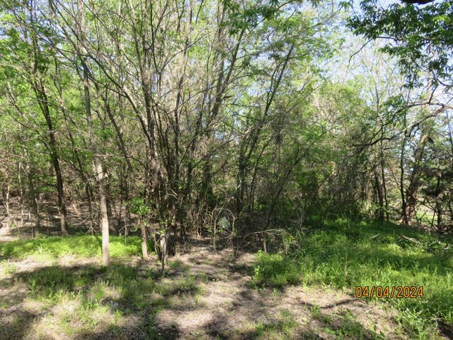 531 S 2 Nd St, Home with 0 bedrooms, 0 bathrooms and null parking in Princeton TX | Image 11