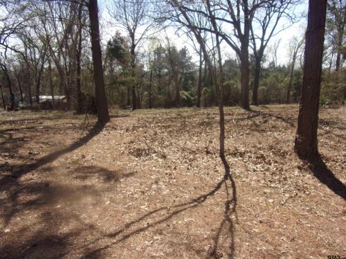 tbd Broadmeadow, Murchison, TX, 75778 | Card Image