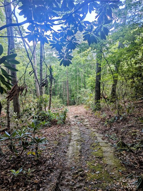 99999 Richardson Blvd, Black Mountain, NC, 28711 | Card Image