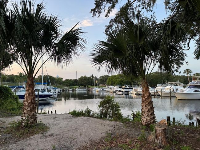 1570 Riveredge Ct, Home with 0 bedrooms, 0 bathrooms and null parking in Astor FL | Image 20