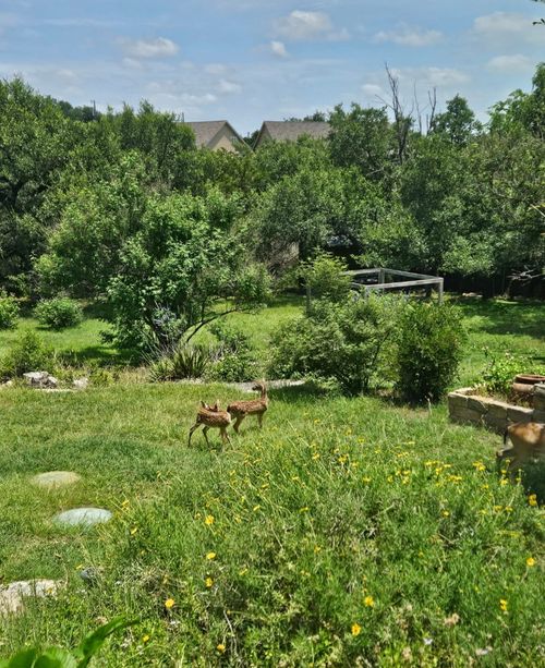 10210 Twin Lake Loop, Dripping Springs, TX, 78620-2628 | Card Image