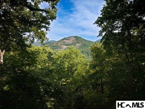 96 Whispering Falls Ct, Tuckasegee, NC, 28783 | Card Image