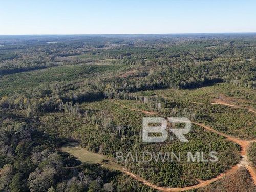 0 Mt Carmel Road, Millry, AL, 36558 | Card Image