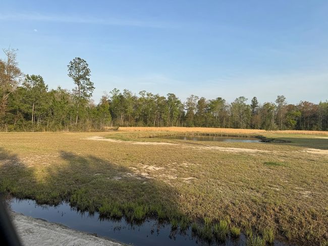 1139 Henry Walcott Rd Nw, Home with 0 bedrooms, 0 bathrooms and null parking in Ludowici GA | Image 7
