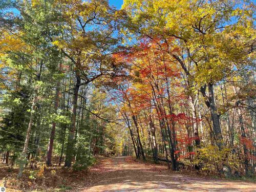 Lot 1 Dockery Rd, Williamsburg, MI, 49690 | Card Image