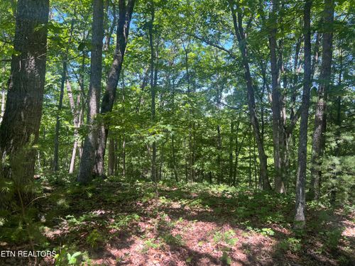 33 Camden Ct, Crossville, TN, 38558-2765 | Card Image