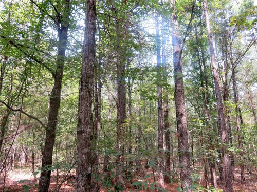 00 Clyde Place Vivian Rd, Vivian, LA, 71082 | Card Image