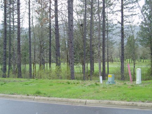 1308 Green Valley Dr, Cave Junction, OR, 97523-9071 | Card Image