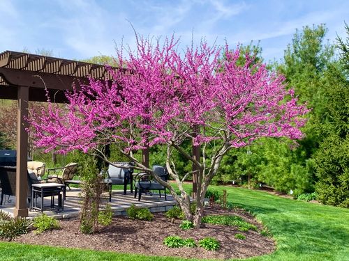 40W898 Fox Creek Dr, St. Charles, IL, 60175-7934 | Card Image