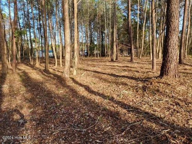 6 Minor Run Rd, Home with 0 bedrooms, 0 bathrooms and null parking in Edward NC | Image 14