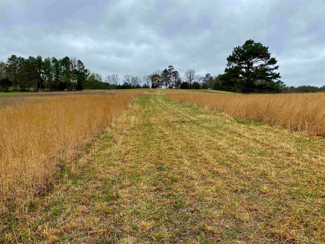 33 Collins Field Rd, Home with 3 bedrooms, 2 bathrooms and null parking in Mount Ida AR | Image 41