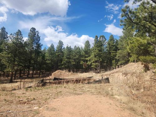 Lot 80 Alta, Angel Fire, NM, 87710 | Card Image