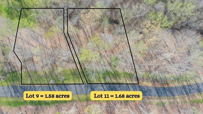 Lot 9 | Image 4
