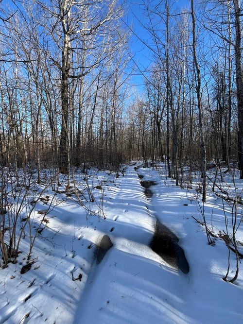 TBD County Rd 4, Barnum, MN, 55707 | Card Image