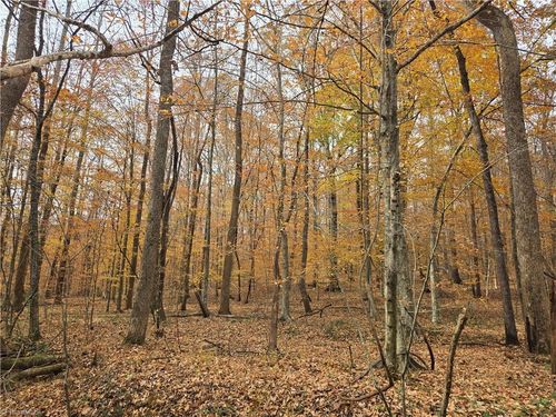 4901 Montford Rd, Pfafftown, NC, 27040-9765 | Card Image