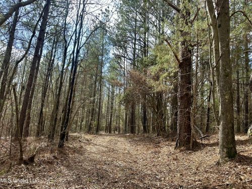 242 Dan George Rd, Mendenhall, MS, 39114-9070 | Card Image