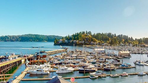 {{alt}} | Card Image