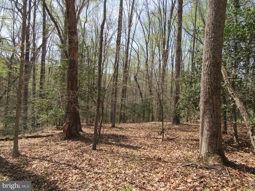 Diamond Glen Old Office Road, RHOADESVILLE, VA, 22542 | Card Image