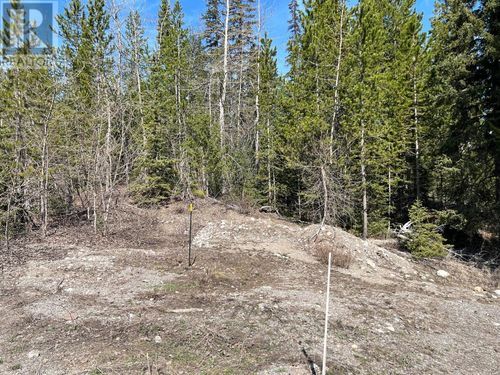 24 David Cres, Elkford, BC, V0B1H0 | Card Image