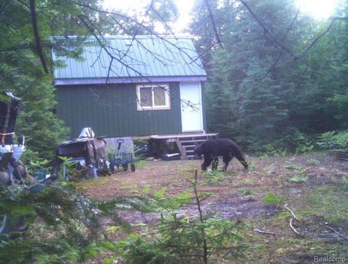 11215 Cecil Bay Rd, Carp Lake, MI, 49718-9757 | Card Image